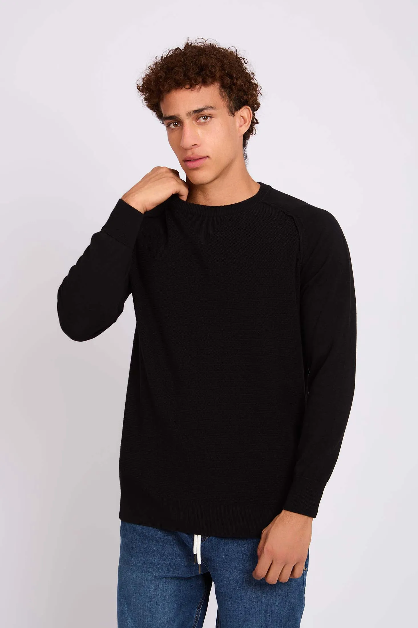 Men Regular Fit Pullover Black