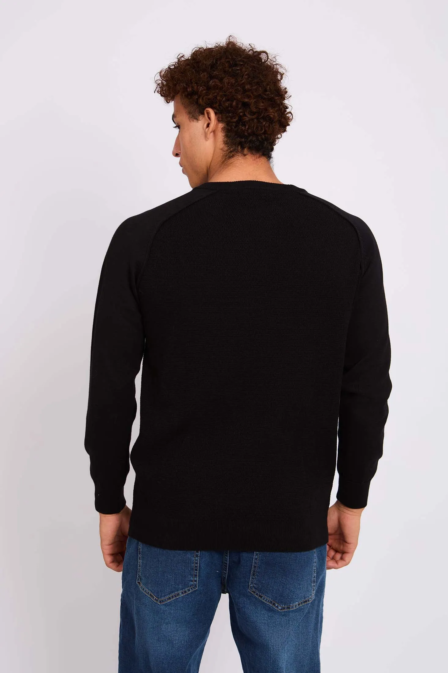 Men Regular Fit Pullover Black