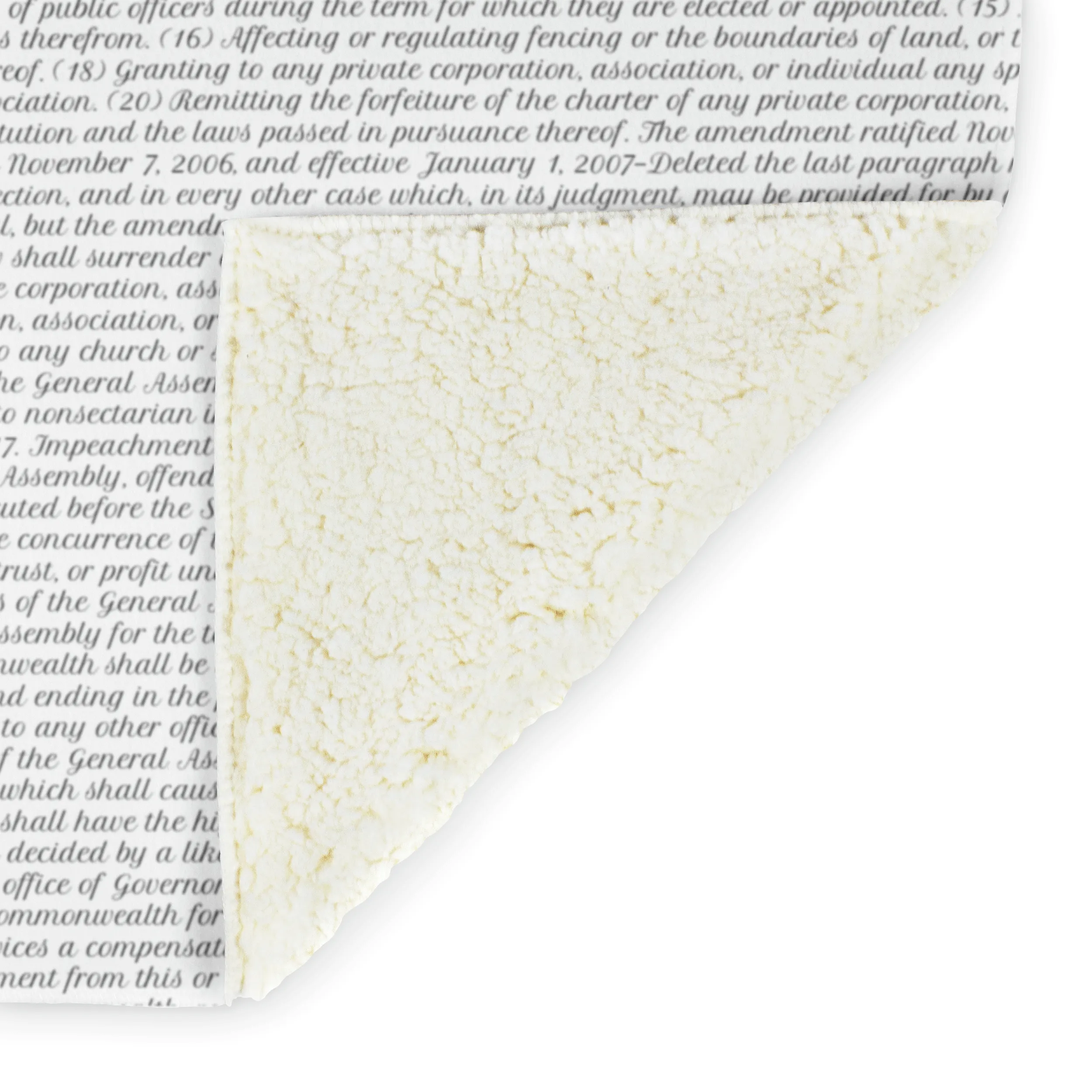 Virginia's Constitution