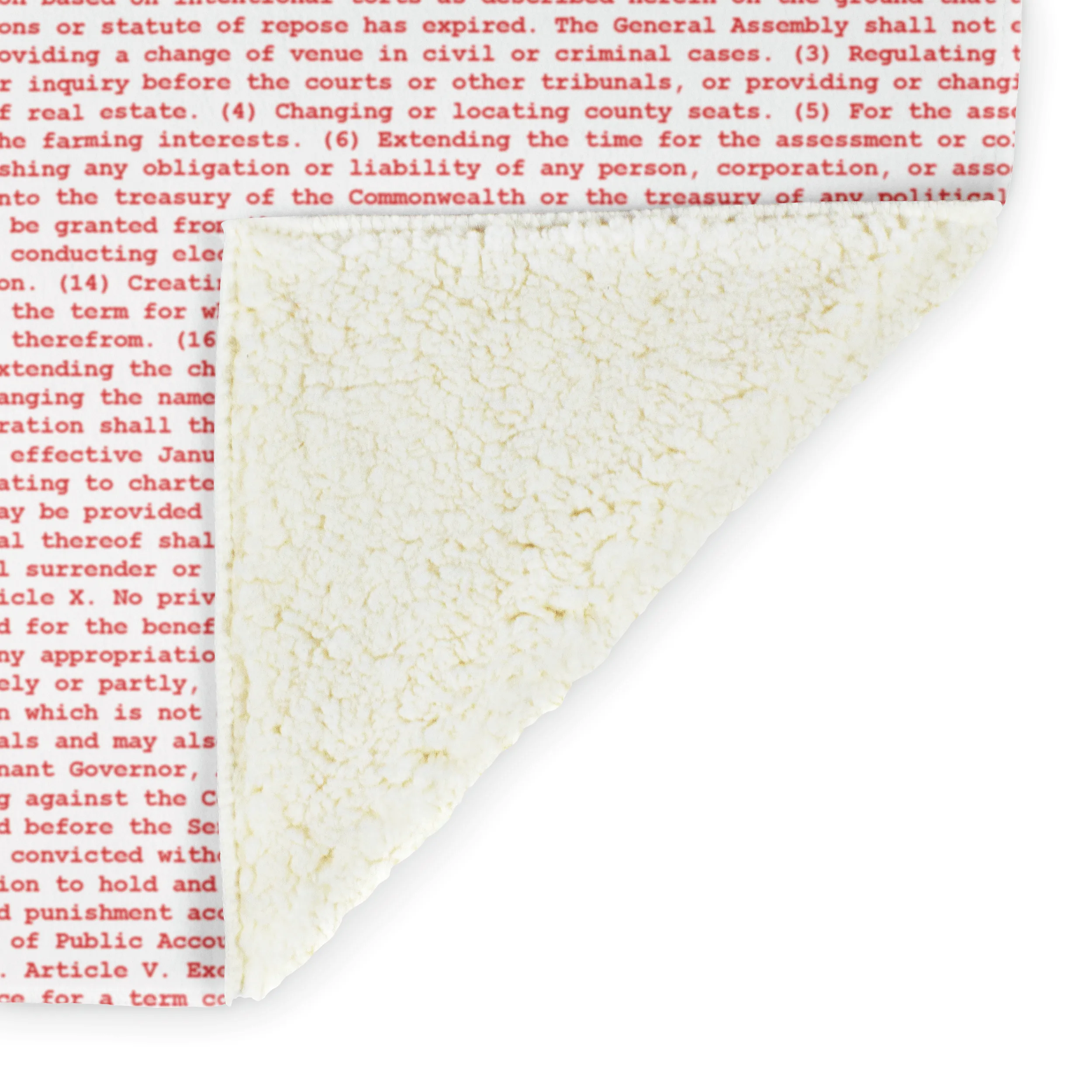 Virginia's Constitution
