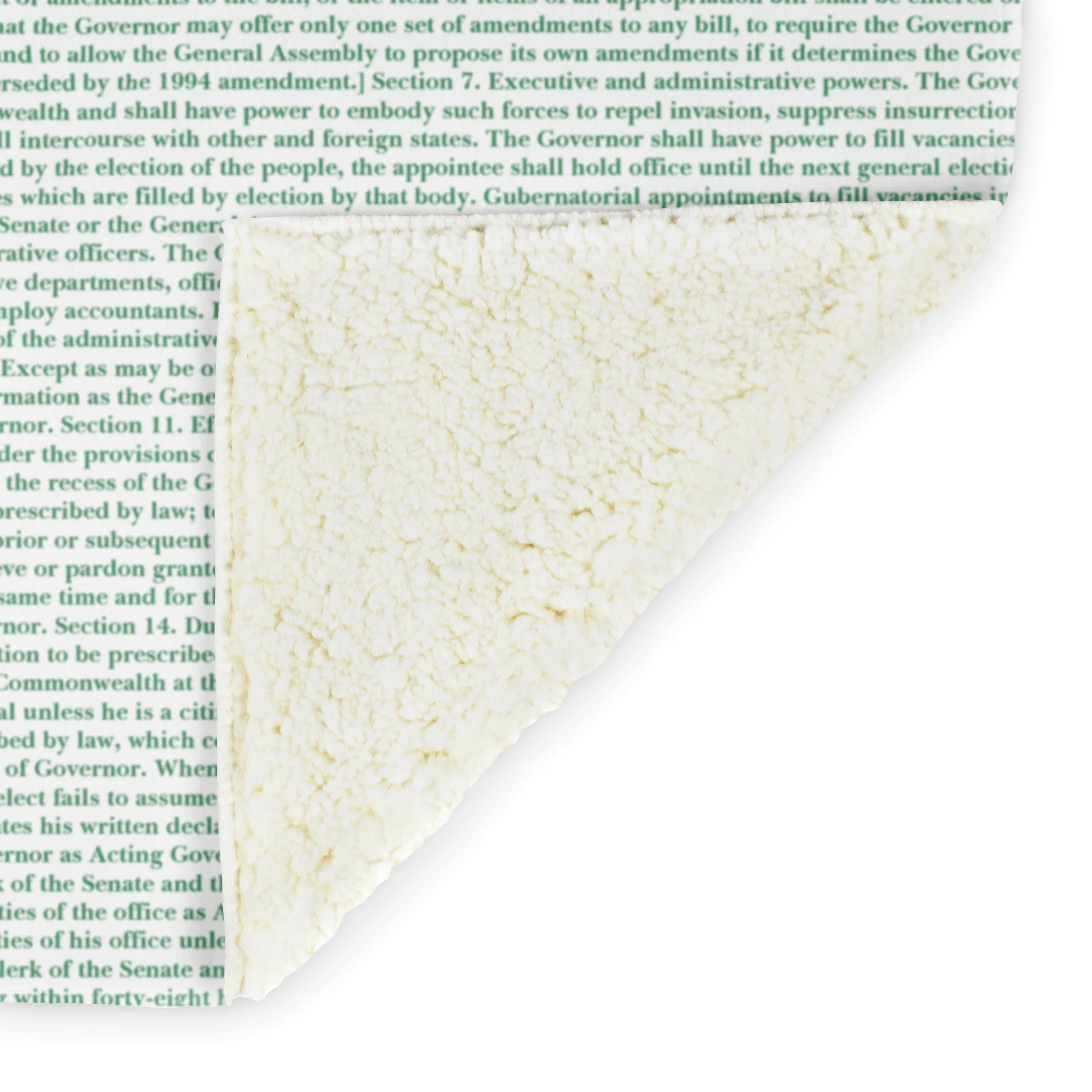 Virginia's Constitution